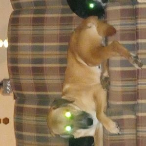 Meet your Posher, Pamela